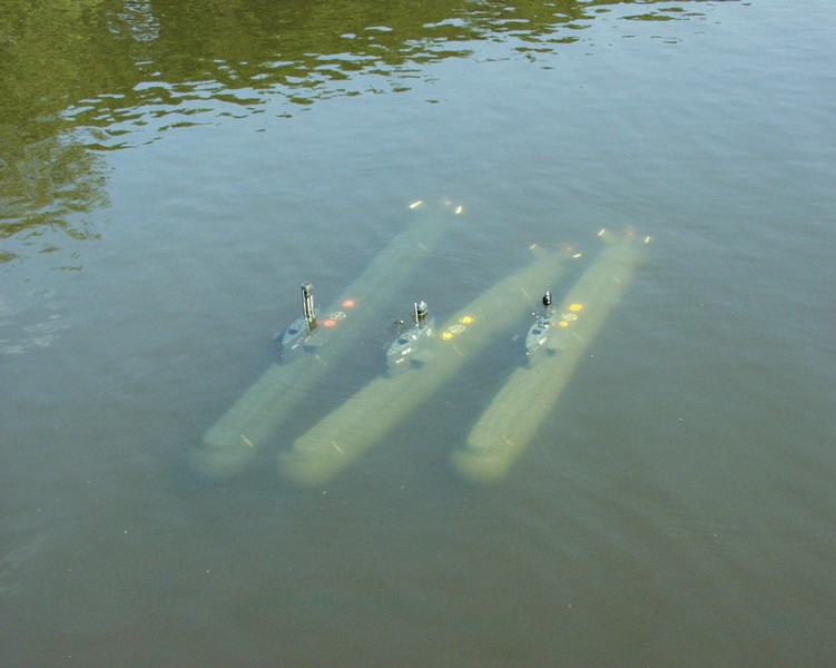 08_bodent_06.jpg