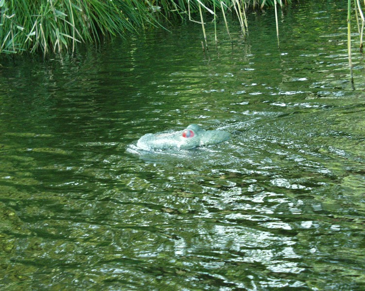 08_bodent_09.jpg