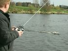 04_ansegeln_06.jpg
