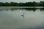10_absegeln_03.jpg