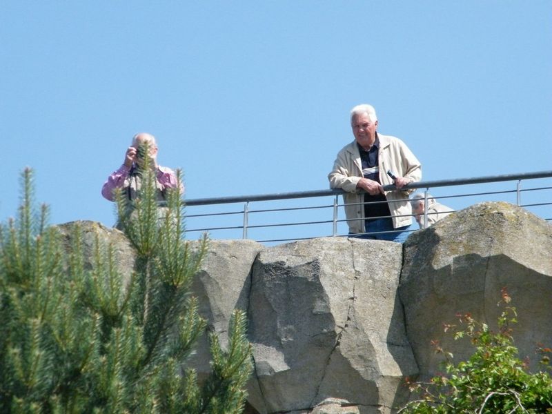 bhv_009.jpg