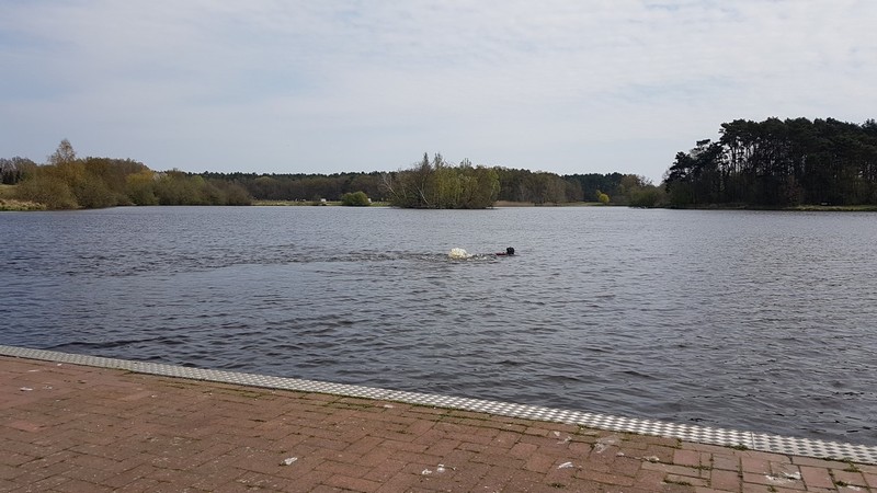 n_Ansegeln_10.jpg
