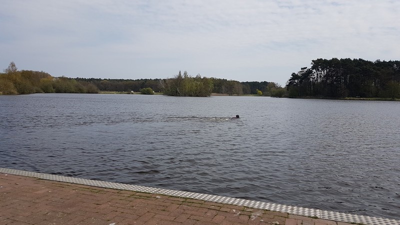 n_Ansegeln_11.jpg