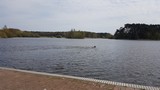 Ansegeln_11.jpg