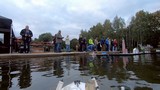 Absegeln_12.jpg