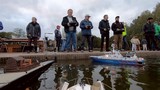 Absegeln_18.jpg