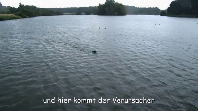 jederm_14.jpg