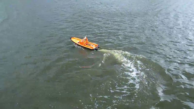 jederm_19.jpg