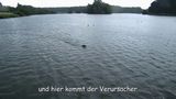 jederm_14.jpg
